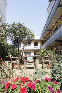 due panche e fiori di fronte a un edificio di Pushpa Guest House a Pokhara