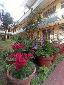 Un jardín fuera de Pushpa Guest House