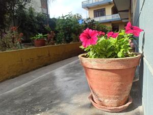 Galería fotográfica de Pushpa Guest House en Pokhara