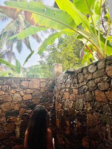 Giardino di Mango Tree House
