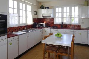 Η κουζίνα ή μικρή κουζίνα στο Holiday Home in Kersiny with Sea Views