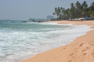 a sandy beach with trees and the ocean at Prime Time Hotel in Unawatuna