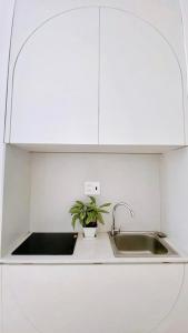 una cocina con fregadero y una planta en un mostrador en L'amie Hotel & Studio, en Da Lat
