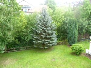 Ein Weihnachtsbaum im Garten mit einem Zaun in der Unterkunft Ferienwohnung Kroeschell in Bad Sachsa