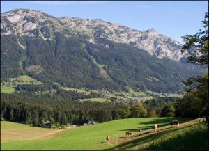 un grupo de animales pastando en un campo verde con montañas en Kalßnhof, en Bad Aussee