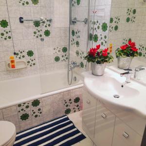ein Badezimmer mit einem Waschbecken und einer Dusche mit roten Blumen in der Unterkunft LA TERRAZZA DI BASILIO in Olginate