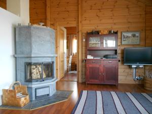 ein Wohnzimmer mit Kamin und Fernseher in der Unterkunft Tornvillan in Hammarland