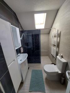 uma casa de banho com um WC, um lavatório e um chuveiro em Tetka Viki em Mavrovo