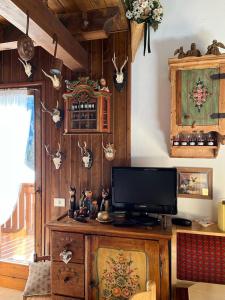 a living room with a tv on a wooden wall at Condominio Pien dal Lat in Selva di Cadore