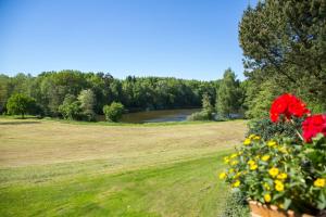 a view of a field with a river and flowers at Pension am Hardausee in Suderburg