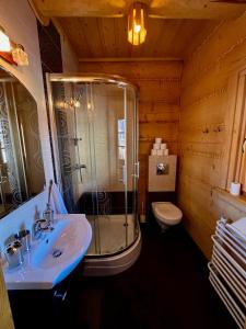 y baño con ducha, lavabo y aseo. en Apartament Wilk en Szczyrk