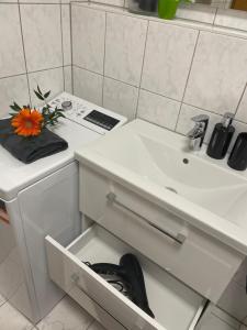 a bathroom with a sink and a washing machine with a flower on it at Ferienwohnung Kestel in Bad Bellingen