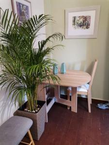 a dining room with a table and a potted plant at Santi Padri Apartment in Corfu +13 photos