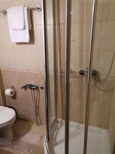 a bathroom with a shower and a toilet at Santi Padri Apartment in Corfu