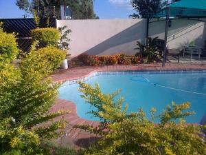 uma pequena piscina num quintal com plantas em Comfort Palace Guesthouse em Francistown