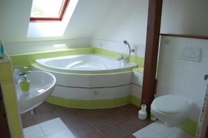 Koupelna v ubytování Apartmany U Stareho Labe + 27 fotografií