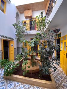 dziedziniec z drzewami i roślinami w budynku w obiekcie Riad Dar Tiflet w Marakeszu