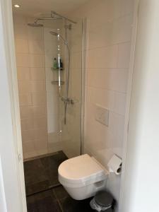 a bathroom with a toilet and a shower at Prins Heerlijk in Sassenheim