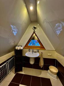 a bathroom with a sink and a window at Apartament Lis in Szczyrk