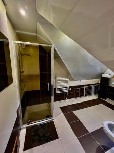 a bathroom with a shower and a toilet at Apartament Lis in Szczyrk