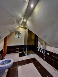łazienka z toaletą i prysznicem w obiekcie Apartament Lis w Szczyrku