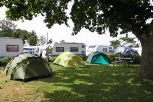 Gallery image of Hasle Camping (Empty Lots) in Hasle