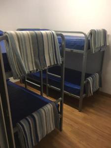 two bunk beds in a room with blue at Albergue Santiago Apostol in Logroño