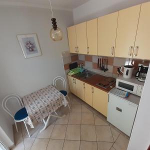 Kuchyň nebo kuchyňský kout v ubytování Apartmani Kramar