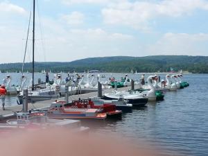 eine Gruppe von Booten ist im Wasser angedockt in der Unterkunft Ferienwohnung Müller in Wadern