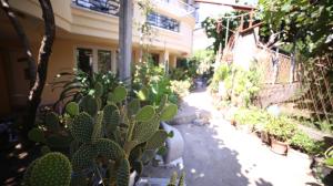 a garden with cacti and plants in front of a house at Davidoff Branko Kalezic in Budva