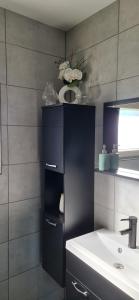 Phòng tắm tại Bungalow Belle Vue en Tiny-house - Camping International - Bomal - Durbuy