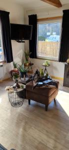 una sala de estar con una mesa con plantas. en Le Chalet Castor - Camping International - Bomal - Durbuy, en Bomal