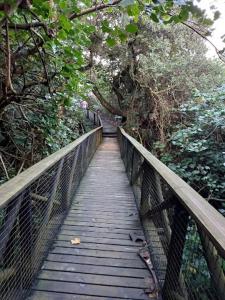 eine Holzbrücke über einen Wald mit Bäumen in der Unterkunft Caribbeans Estates 76/34 in Port Edward