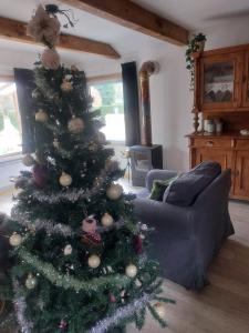 Posezení v ubytování Le Chalet Castor - Camping International - Bomal - Durbuy