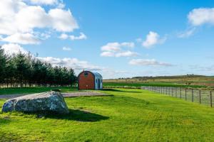 a barn and a rock in a field with a fence at north fell under the stars in Morpeth