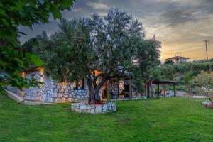 Vườn quanh White Stone Villas Dimitra and Eleni
