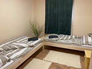 Postel nebo postele na pokoji v ubytování Tina Apartman