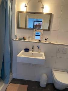 La salle de bains est pourvue d'un lavabo, de toilettes et d'un miroir. dans l'établissement Appartement Circé - Montpellier Nord-Hopitaux-Facultés, à Montpellier