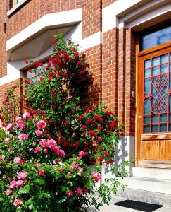 um arbusto de rosas em frente a uma casa em L'Atelier Bed and Breakfast em Andrimont
