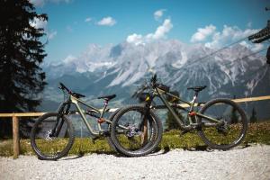 Cycling sa o sa paligid ng Bergblick Apartment in Zentrumsnähe mit Garage