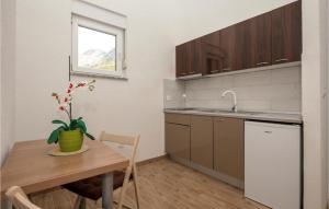 Ett kök eller pentry på Gorgeous Apartment In Drvenik With Kitchen
