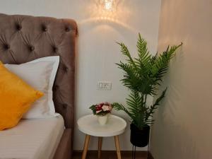 a bedroom with a bed and a table with a plant at VILA MRV in Constanţa