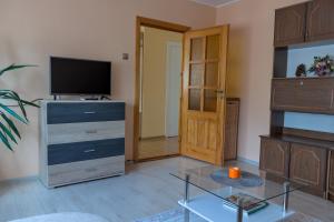salon z telewizorem i szklanym stołem w obiekcie Estate I Apartamentai w mieście Birsztany