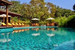 The Postcard Hideaway, Netravali Wildlife Sanctuary, Goa في Vichondrem: مسبح مع كراسي ومظلات