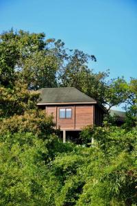 a small house in the middle of some trees at The Postcard Hideaway, Netravali Wildlife Sanctuary, Goa in Vichondrem