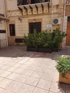 a building with some plants in front of it at Posidonia in Porticello