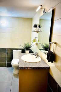 La salle de bains est pourvue d'un lavabo, de toilettes et d'un miroir. dans l'établissement Lina 703, à Larnaka