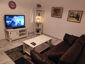 Apartman Zemun Centar في بلغراد: غرفة معيشة مع أريكة وتلفزيون بشاشة مسطحة