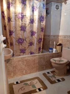y baño con aseo y cortina de ducha. en Comfortable home in middle Atlas, en Azrou