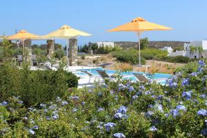a resort with a pool and umbrellas and flowers at Blue Amaryllis Villas in Santa Maria